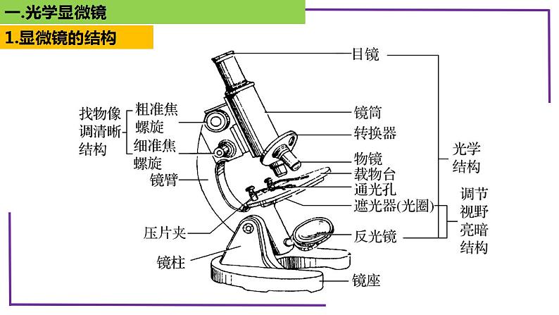 精讲03 显微镜-【备战一轮】最新高考生物一轮复习名师精讲课件第6页