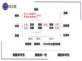 精讲04 细胞的多样性和统一性【备战一轮】最新高考生物一轮复习名师精讲课件