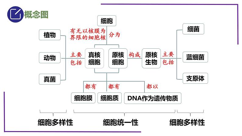 精讲04 细胞的多样性和统一性【备战一轮】最新高考生物一轮复习名师精讲课件第5页