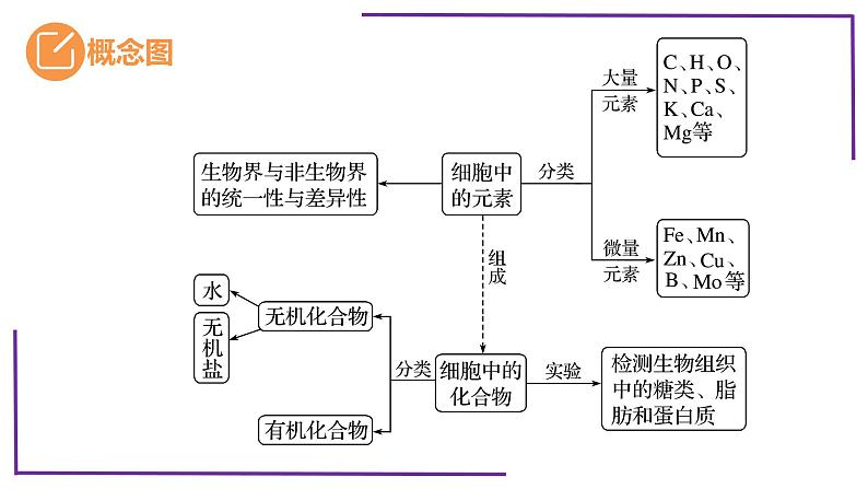 精讲05 元素和化合物、水、无机盐、物质检测【备战一轮】最新高考生物一轮复习名师精讲课件第5页