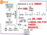 精讲06 蛋白质-【备战一轮】最新高考生物一轮复习名师精讲课件