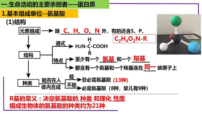 精讲06 蛋白质-【备战一轮】最新高考生物一轮复习名师精讲课件第6页