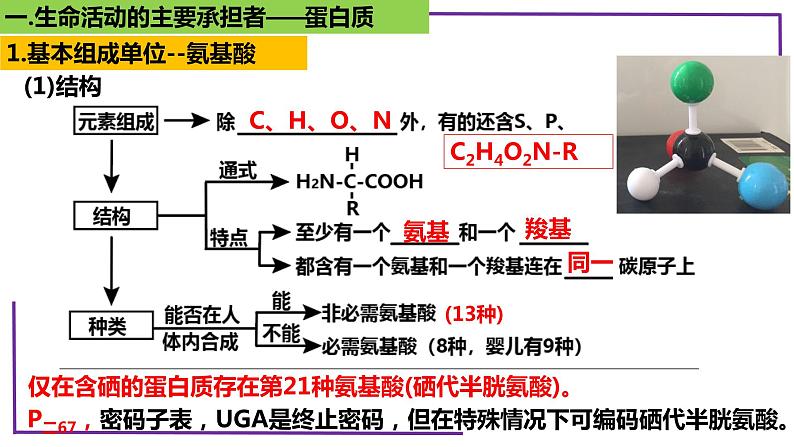 精讲06 蛋白质-【备战一轮】最新高考生物一轮复习名师精讲课件第7页