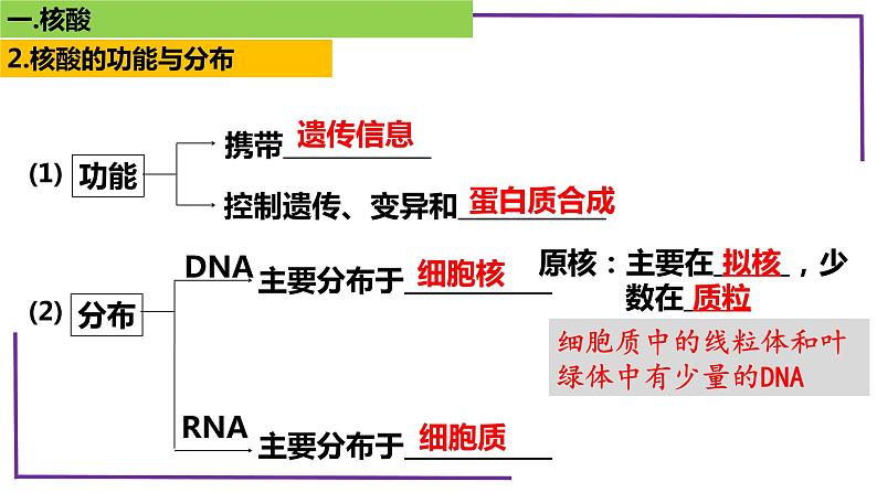 精讲07核酸、糖类和脂质-【备战一轮】最新高考生物一轮复习名师精讲课件第7页