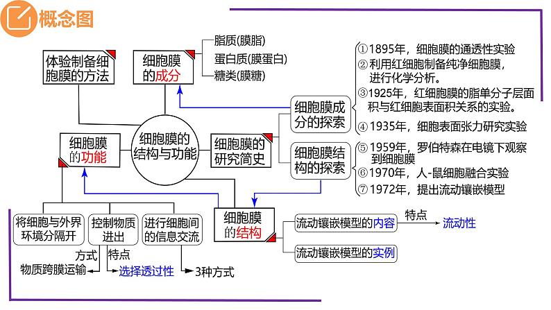 精讲08 细胞膜、生物膜系统、物质输入输出-【备战一轮】最新高考生物一轮复习名师精讲课件05