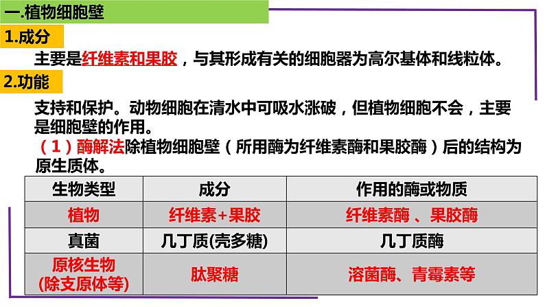 精讲08 细胞膜、生物膜系统、物质输入输出-【备战一轮】最新高考生物一轮复习名师精讲课件06