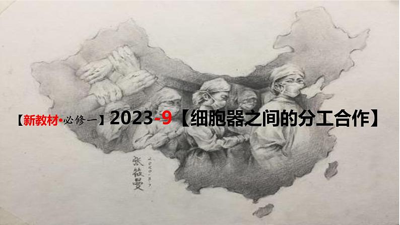 精讲09 细胞器之间的分工合作-【备战一轮】最新高考生物一轮复习名师精讲课件第3页