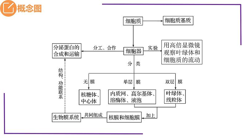 精讲09 细胞器之间的分工合作-【备战一轮】最新高考生物一轮复习名师精讲课件第5页