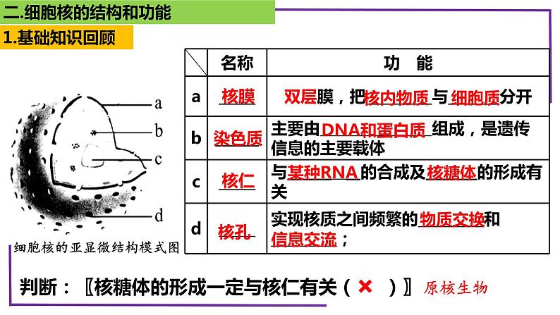 精讲10 细胞核的结构和功能-【备战一轮】最新高考生物一轮复习名师精讲课件第8页