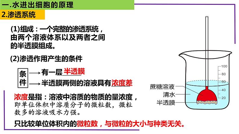 精讲11 水进出细胞的原理-【备战一轮】最新高考生物一轮复习名师精讲课件第7页