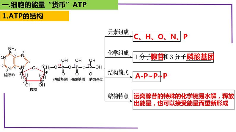 精讲14 细胞的能量“货币”ATP-【备战一轮】最新高考生物一轮复习名师精讲课件第6页