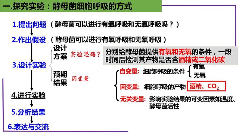 精讲15 探究酵母菌细胞呼吸的方式-【备战一轮】最新高考生物一轮复习名师精讲课件第7页