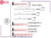 精讲16 细胞呼吸-【备战一轮】最新高考生物一轮复习名师精讲课件