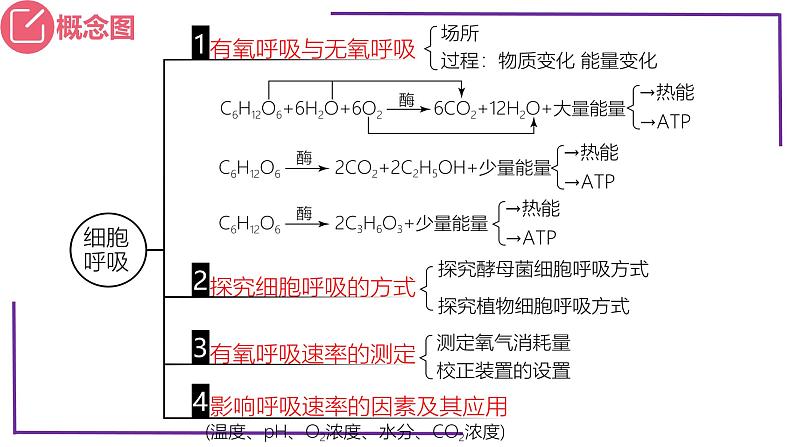 精讲16 细胞呼吸-【备战一轮】最新高考生物一轮复习名师精讲课件第5页