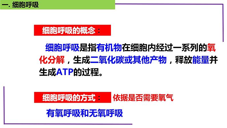 精讲16 细胞呼吸-【备战一轮】最新高考生物一轮复习名师精讲课件第7页