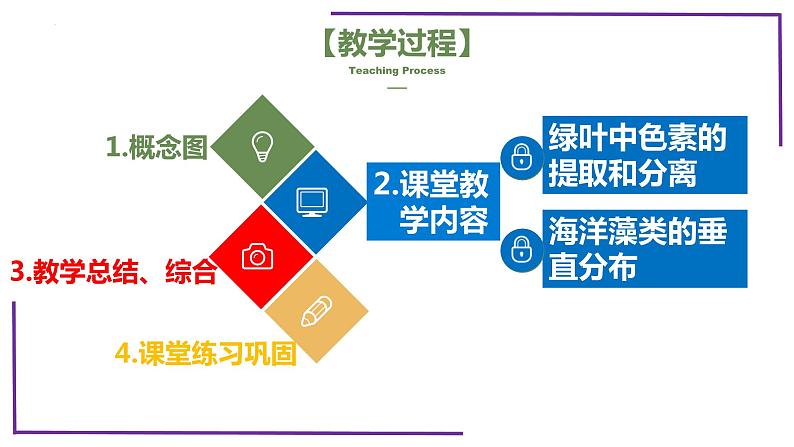 精讲17 光合作用1（捕获光能的色素和结构）-【备战一轮】最新高考生物一轮复习名师精讲课件04