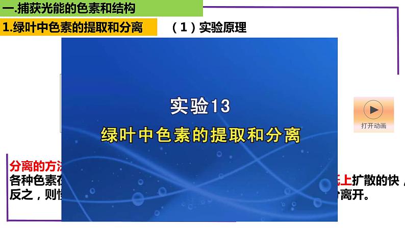 精讲17 光合作用1（捕获光能的色素和结构）-【备战一轮】最新高考生物一轮复习名师精讲课件06