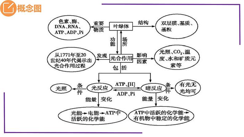 精讲18 光合作用2（光合作用的过程）-【备战一轮】最新高考生物一轮复习名师精讲课件05