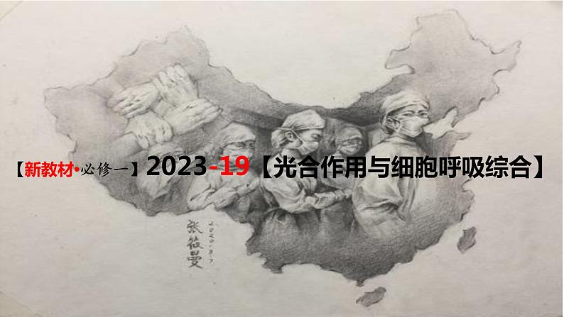 精讲20 光合作用4（光合作用与呼吸作用）-【备战一轮】最新高考生物一轮复习名师精讲课件03