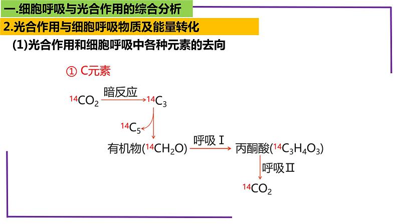 精讲20 光合作用4（光合作用与呼吸作用）-【备战一轮】最新高考生物一轮复习名师精讲课件08