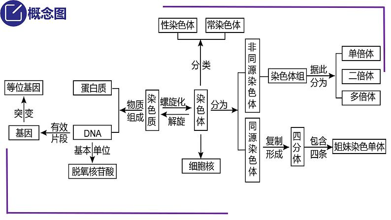 精讲22 染色体-【备战一轮】最新高考生物一轮复习名师精讲课件05