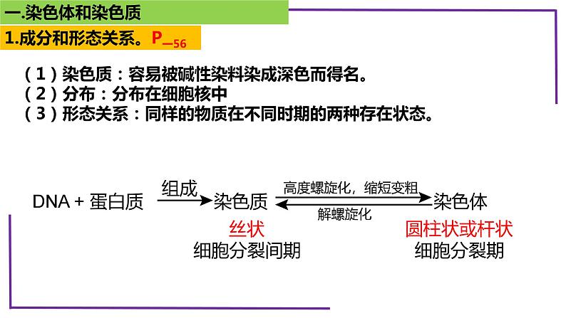 精讲22 染色体-【备战一轮】最新高考生物一轮复习名师精讲课件06