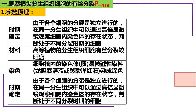 精讲23 分裂有关的三个实验-【备战一轮】最新高考生物一轮复习名师精讲课件第5页