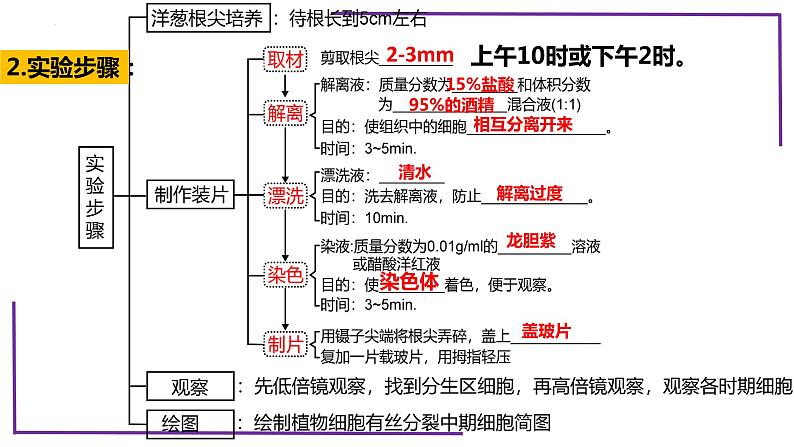 精讲23 分裂有关的三个实验-【备战一轮】最新高考生物一轮复习名师精讲课件第7页