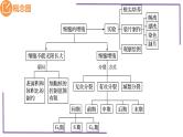 精讲24 细胞增殖-【备战一轮】最新高考生物一轮复习名师精讲课件