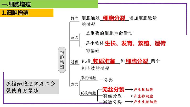 精讲24 细胞增殖-【备战一轮】最新高考生物一轮复习名师精讲课件第6页