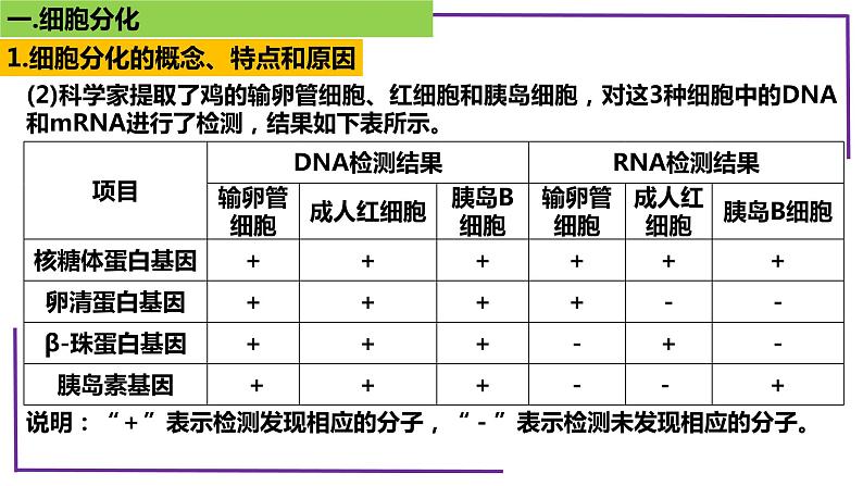 精讲25 细胞的分化、衰老、死亡-【备战一轮】最新高考生物一轮复习名师精讲课件07