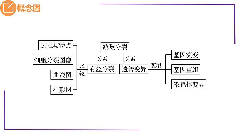 精讲27 有丝、减数分裂、观察蝗虫精母细胞减数分裂装片-【备战一轮】最新高考生物一轮精讲课件05