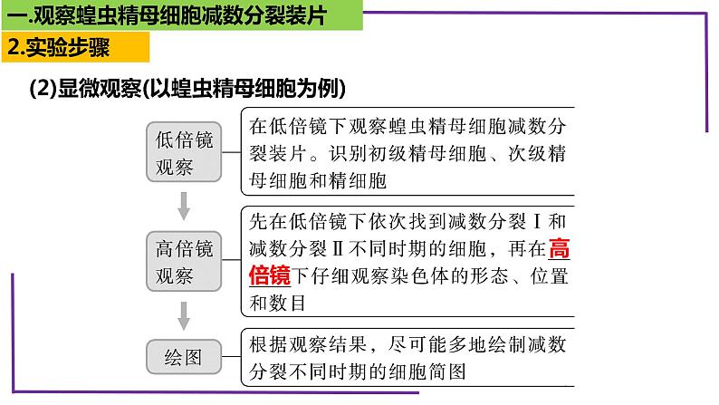 精讲27 有丝、减数分裂、观察蝗虫精母细胞减数分裂装片-【备战一轮】最新高考生物一轮精讲课件07