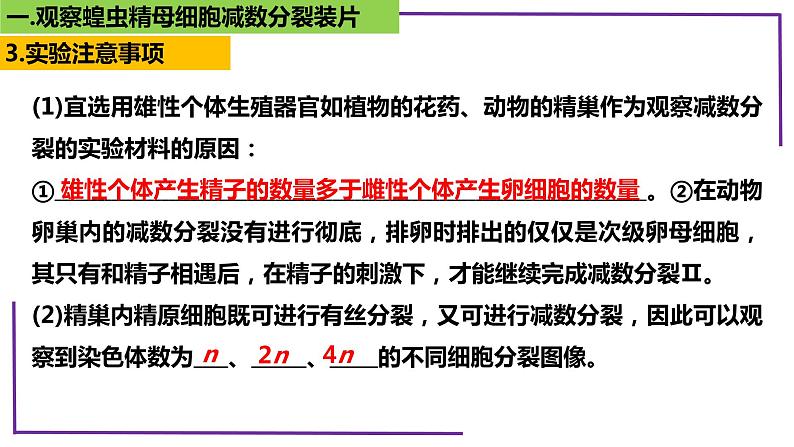 精讲27 有丝、减数分裂、观察蝗虫精母细胞减数分裂装片-【备战一轮】最新高考生物一轮精讲课件08