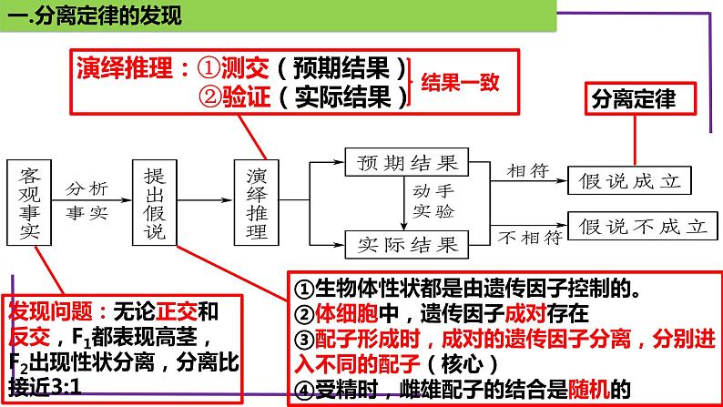 精讲30 分离定律的发现-【备战一轮】最新高考生物一轮复习名师精讲课件06