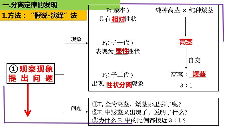 精讲30 分离定律的发现-【备战一轮】最新高考生物一轮复习名师精讲课件07