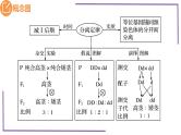 精讲31 分离定律题型-【备战一轮】最新高考生物一轮复习名师精讲课件
