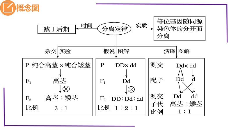 精讲31 分离定律题型-【备战一轮】最新高考生物一轮复习名师精讲课件05