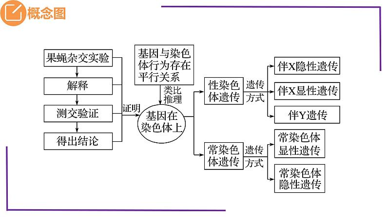 精讲35 基因在染色体上-【备战一轮】最新高考生物一轮复习名师精讲课件05