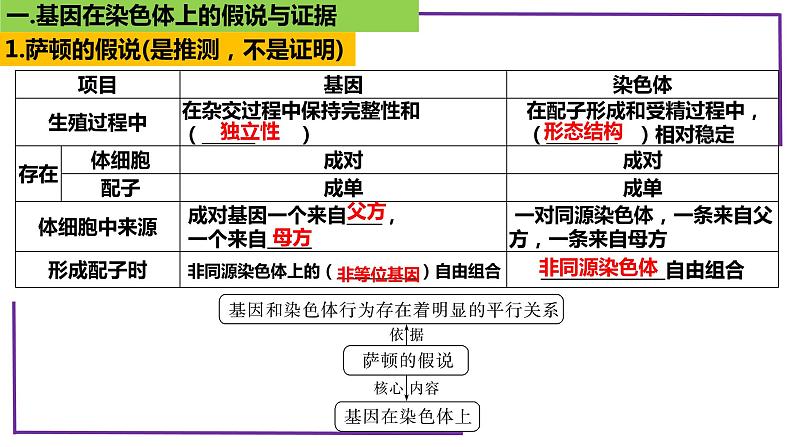 精讲35 基因在染色体上-【备战一轮】最新高考生物一轮复习名师精讲课件06