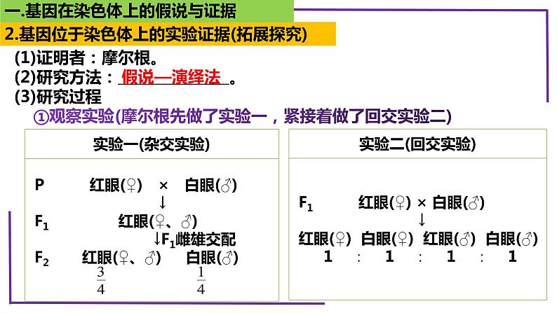 精讲35 基因在染色体上-【备战一轮】最新高考生物一轮复习名师精讲课件08