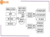 精讲36 伴性遗传-【备战一轮】最新高考生物一轮复习名师精讲课件