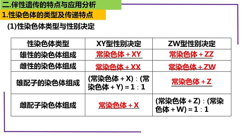 精讲36 伴性遗传-【备战一轮】最新高考生物一轮复习名师精讲课件第6页