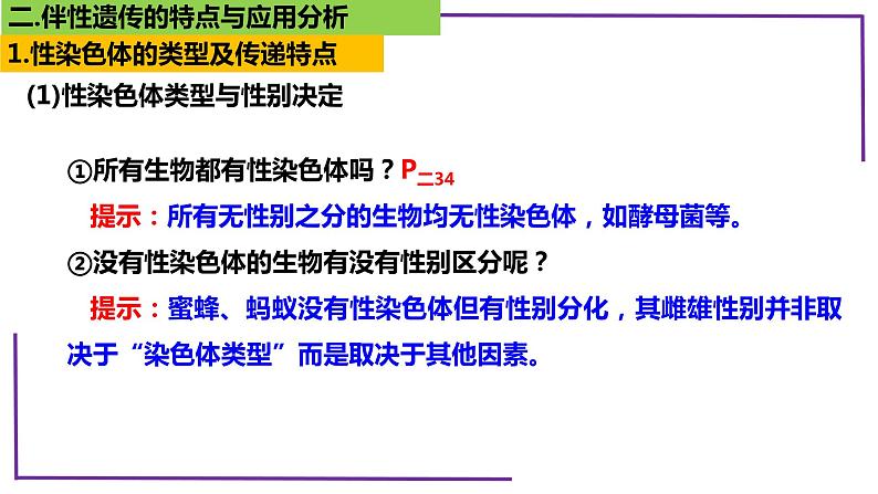 精讲36 伴性遗传-【备战一轮】最新高考生物一轮复习名师精讲课件第7页