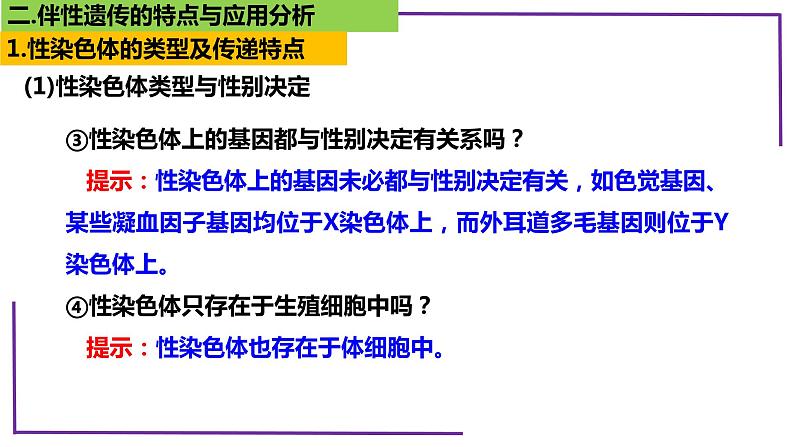 精讲36 伴性遗传-【备战一轮】最新高考生物一轮复习名师精讲课件第8页