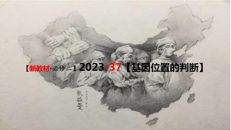 精讲37 基因位置判断-【备战一轮】最新高考生物一轮复习名师精讲课件第3页