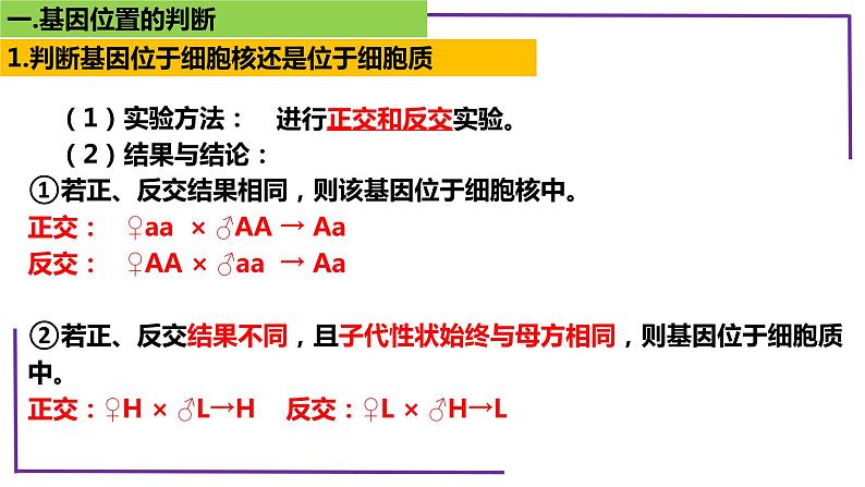 精讲37 基因位置判断-【备战一轮】最新高考生物一轮复习名师精讲课件第5页