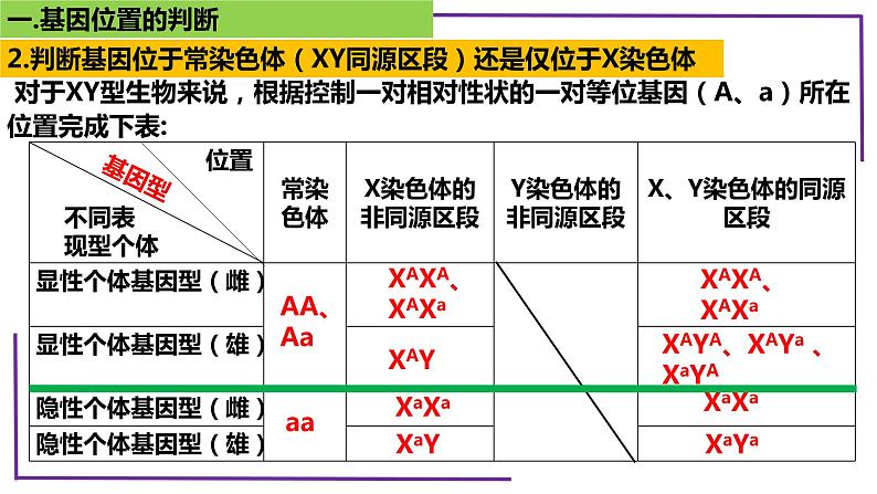 精讲37 基因位置判断-【备战一轮】最新高考生物一轮复习名师精讲课件第7页