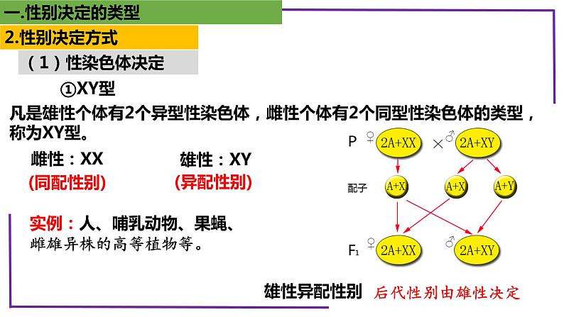 精讲38 性别决定的类型-【备战一轮】最新高考生物一轮复习名师精讲课件07