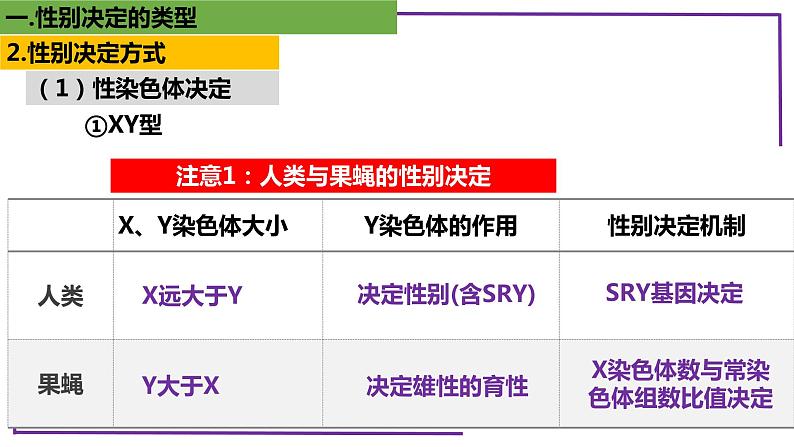 精讲38 性别决定的类型-【备战一轮】最新高考生物一轮复习名师精讲课件08